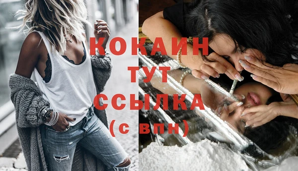 ешки Волосово